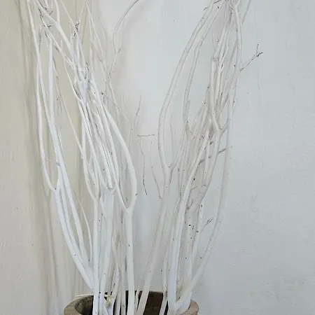 Gæstehus Dimitra Votsi (Alonnisos)