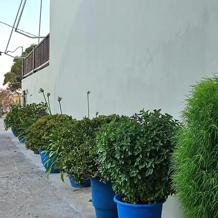 Dimitra Votsi (Alonnisos)